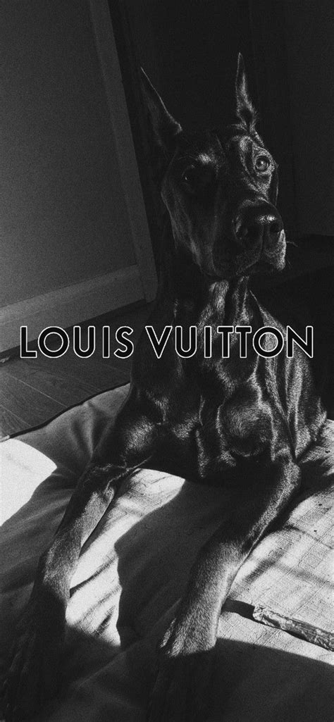 louis vuitton doberman|Louis Vuitton Doberman, 2018 by .